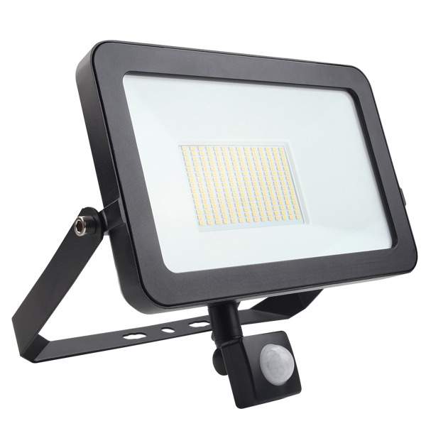 lumineux security light