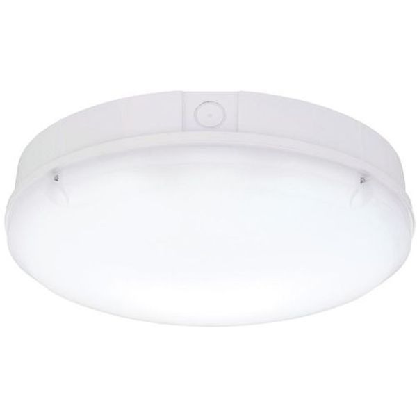 saxby led bulkhead