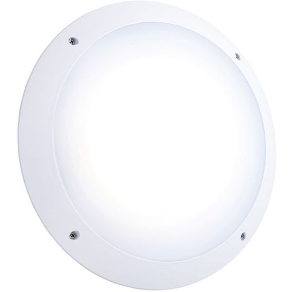 saxby led bulkhead